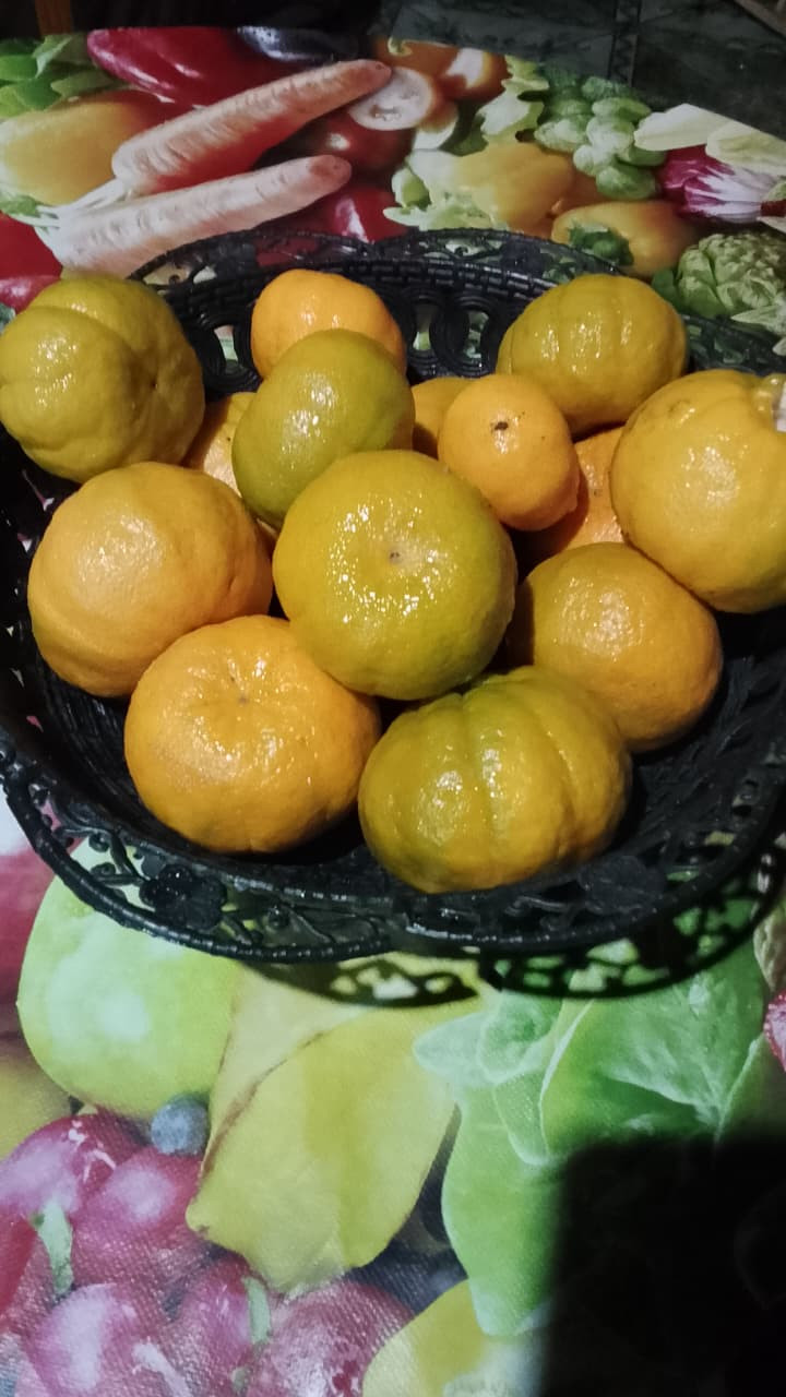 Frutos amarelos e verdes reunidos em um cesto escuro sobre tecido estampado.